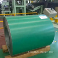 Bobina in acciaio con verde SGCC Verde Green